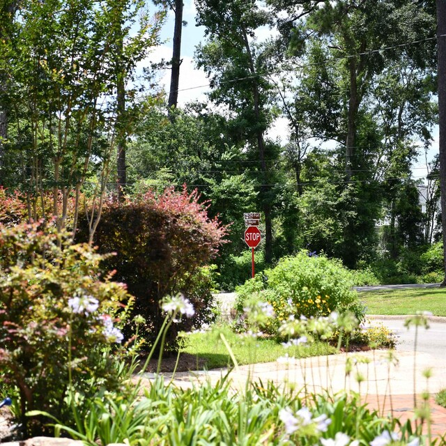 1003 Maple Dr, Tallahassee, FL 32301 - photo 6
