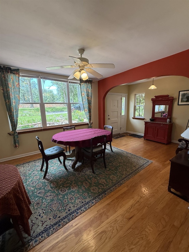 1003 Maple Dr, Tallahassee, FL 32301 - photo 15