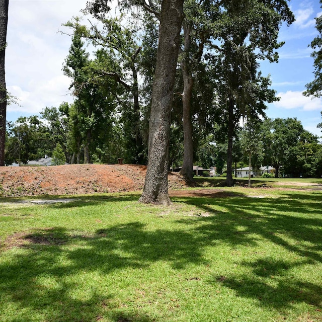 1003 Maple Dr, Tallahassee, FL 32301 - photo 13