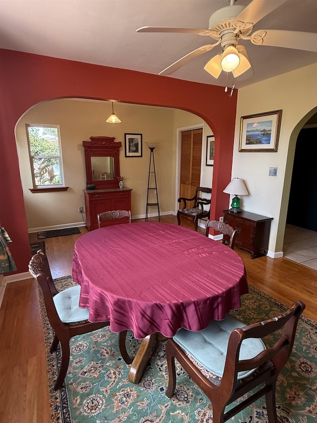 1003 Maple Dr, Tallahassee, FL 32301 - photo 14