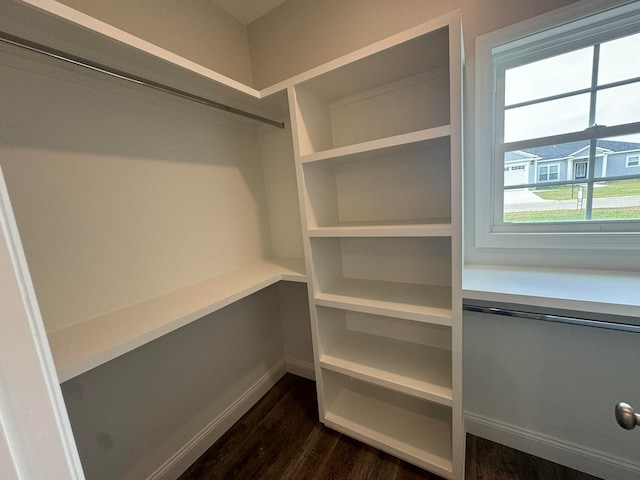 walk in closet featuring dark wood-type flooring