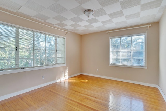 spare room featuring light wood-type flooring