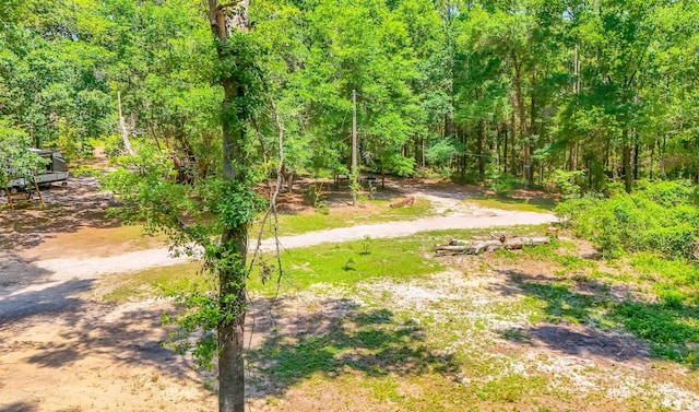 1836 Chena Dr, Tallahassee, FL 32310 - photo 10