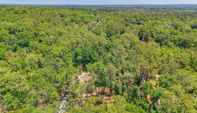 1836 Chena Dr, Tallahassee, FL 32310 - photo 4