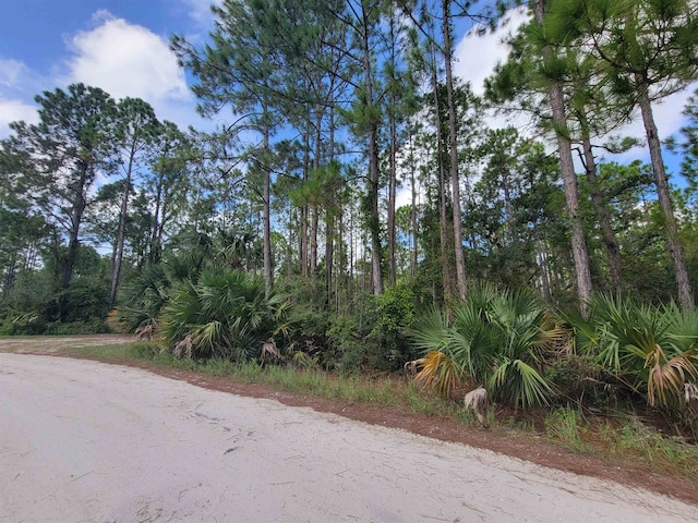 Listing photo 2 for 0 Seaview Dr, Perry FL 32348