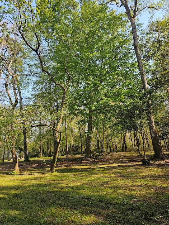 16895 Mahan Dr, Tallahassee, FL 32309