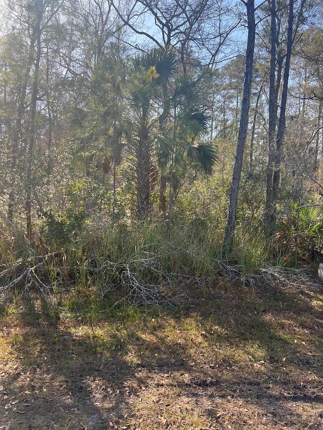 Listing photo 3 for XX Burnt Pine Loop, Saint Marks FL 32355