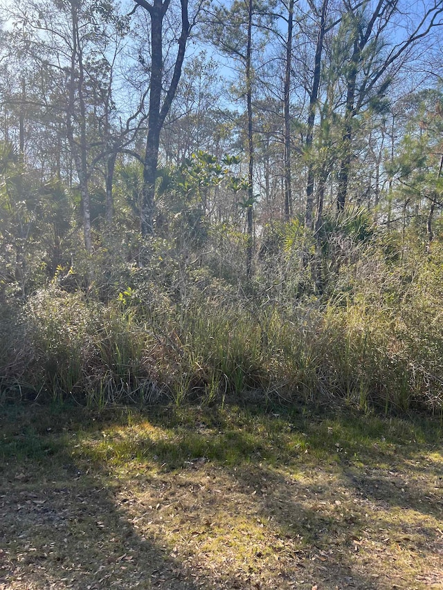 Listing photo 2 for XX Burnt Pine Loop, Saint Marks FL 32355