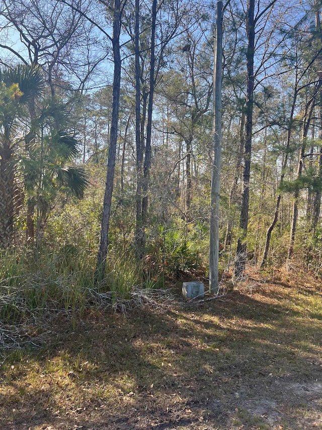 XX Burnt Pine Loop, Saint Marks FL, 32355 land for sale