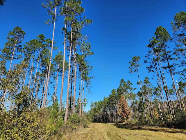 LOT44 SW Ontario Rd, Greenville FL, 32331 land for sale