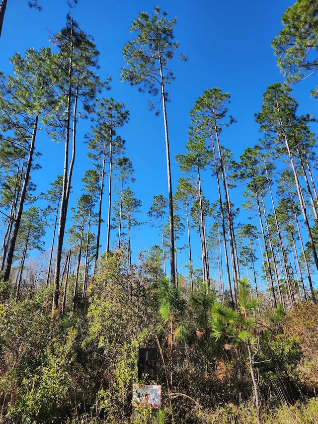 Listing photo 2 for LOT44 SW Ontario Rd, Greenville FL 32331