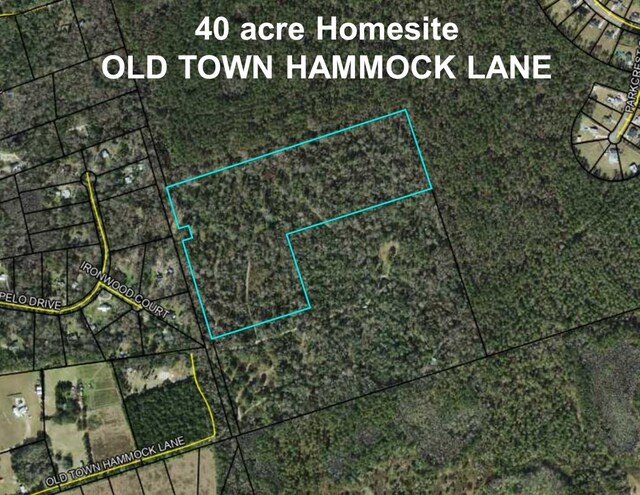 0 Old Town Hammock Ln 40Ac, Crawfordville, FL 32327 - photo 6