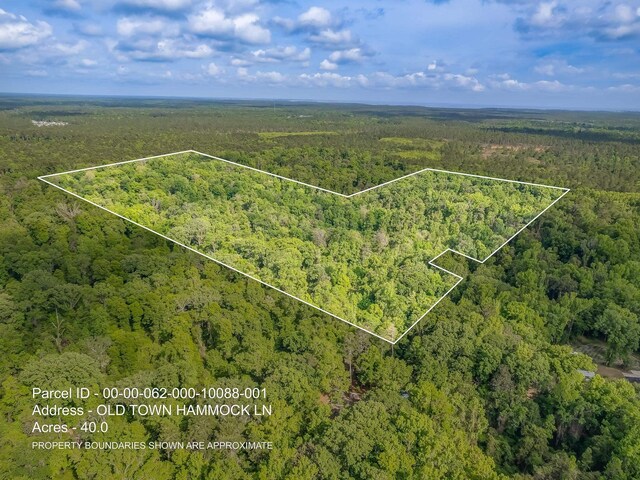 0 Old Town Hammock Ln 40Ac, Crawfordville, FL 32327 - photo 2