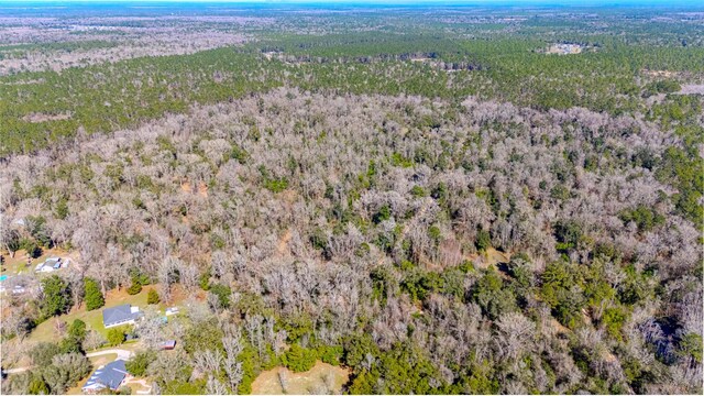 0 Old Town Hammock Ln 40Ac, Crawfordville, FL 32327 - photo 18