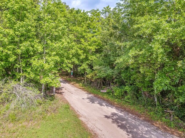 0 Old Town Hammock Ln 40Ac, Crawfordville, FL 32327 - photo 3