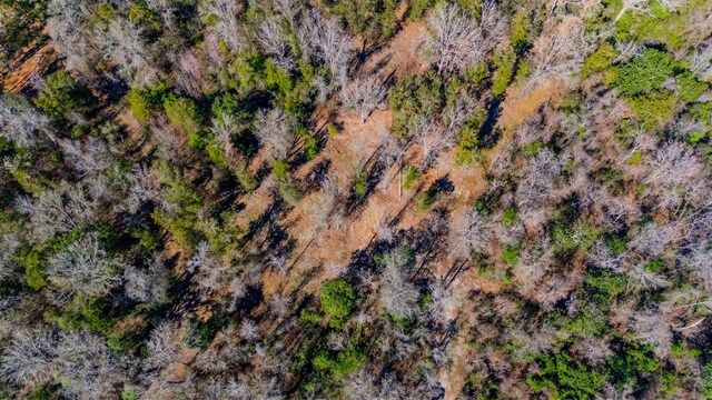 0 Old Town Hammock Ln 40Ac, Crawfordville, FL 32327 - photo 5