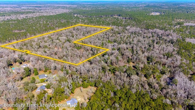 0 Old Town Hammock Ln 40Ac, Crawfordville, FL 32327 - photo 16
