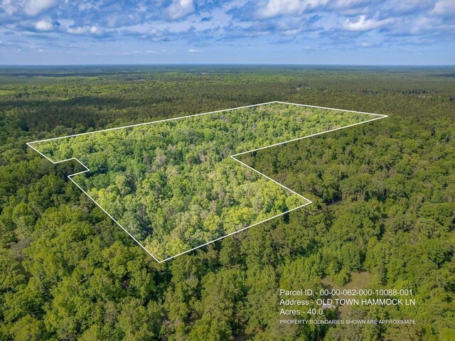 0 Old Town Hammock Ln 40Ac, Crawfordville, FL 32327 - photo 1