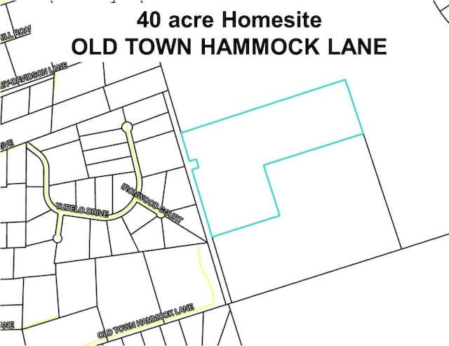 0 Old Town Hammock Ln 40Ac, Crawfordville, FL 32327 - photo 12
