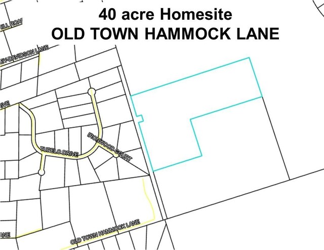 0 Old Town Hammock Ln 40Ac, Crawfordville, FL 32327 - photo 13