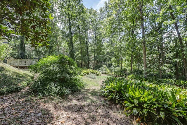 3416 Robinhood Rd, Tallahassee, FL 32312 - photo 59