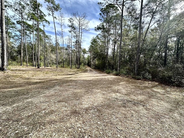 view of local wilderness