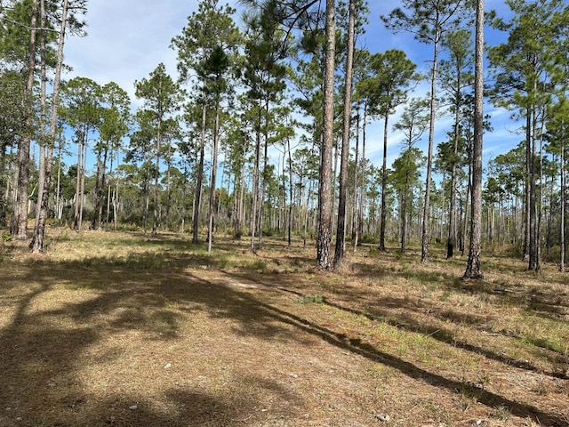 view of local wilderness