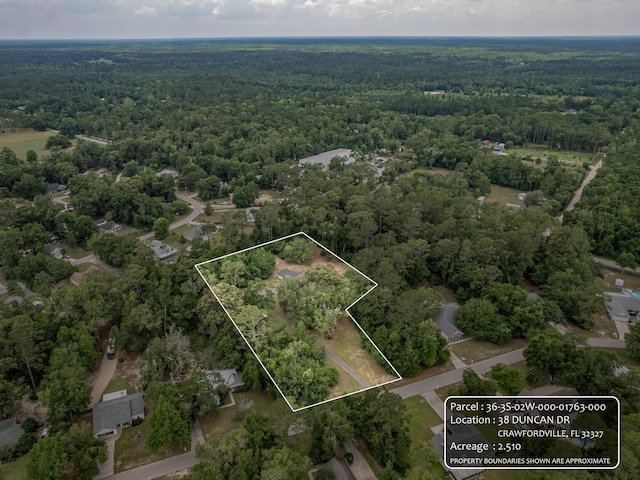 38 Duncan Dr, Crawfordville, FL 32327 - photo 10