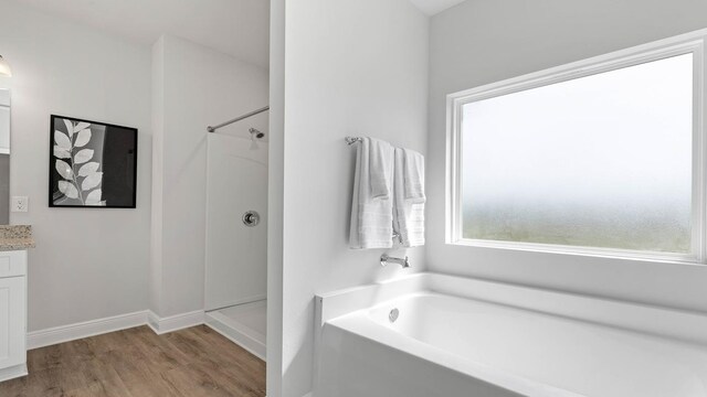 bathroom featuring separate shower and tub, vanity, and wood-type flooring