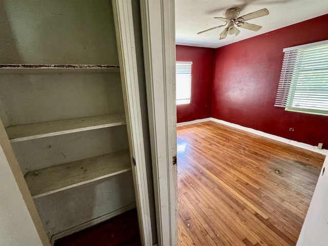 1402 W Tharpe St, Tallahassee, FL 32303 - view of closet