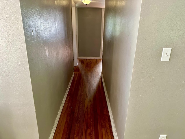 1402 W Tharpe St, Tallahassee, FL 32303 - corridor with wood finished floors and baseboards