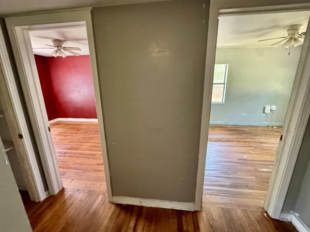 1402 W Tharpe St, Tallahassee, FL 32303 - hallway featuring wood finished floors