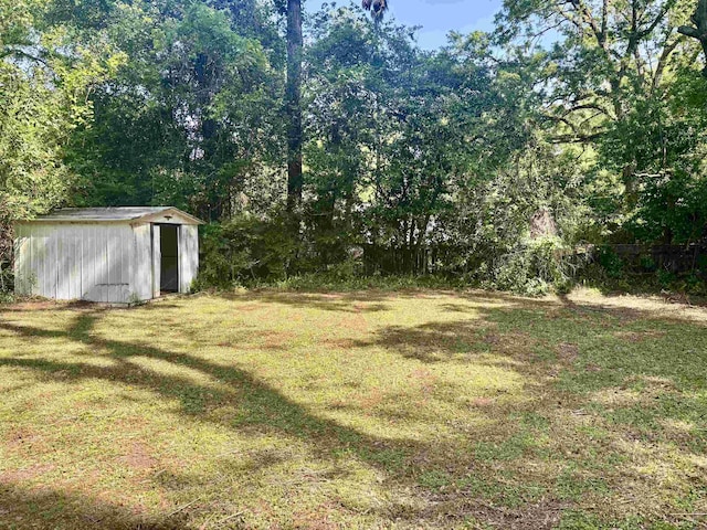 1402 W Tharpe St, Tallahassee, FL 32303 - view of green lawn with a storage shed