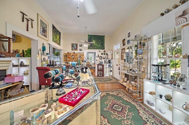 interior space with hardwood / wood-style floors and a wealth of natural light