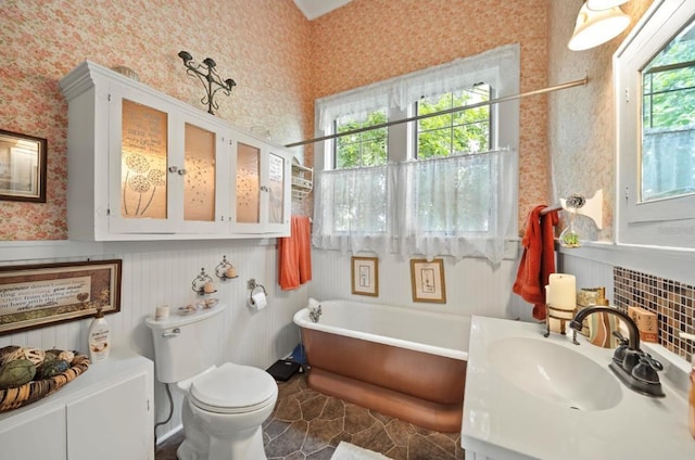 bathroom with vanity, a bathtub, and toilet