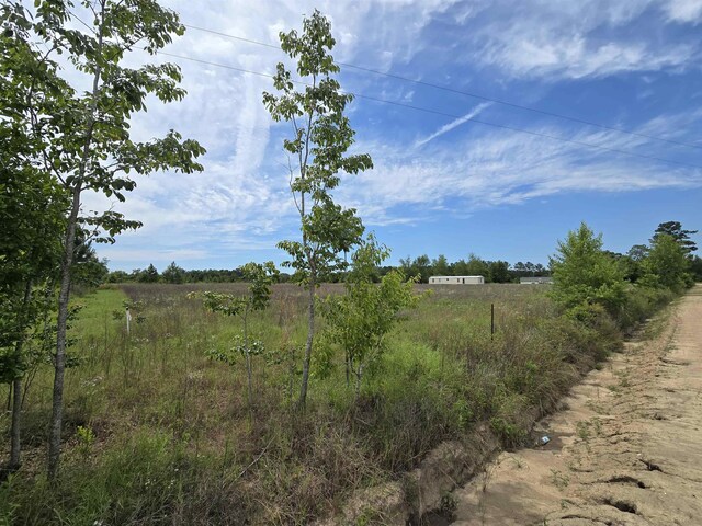 602 Garner Rd, Quincy, FL 32351 - photo 8