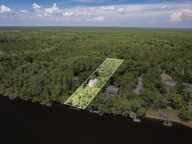 60 Sanders Cemetery Rd, Sopchoppy, FL 32358 - photo 38