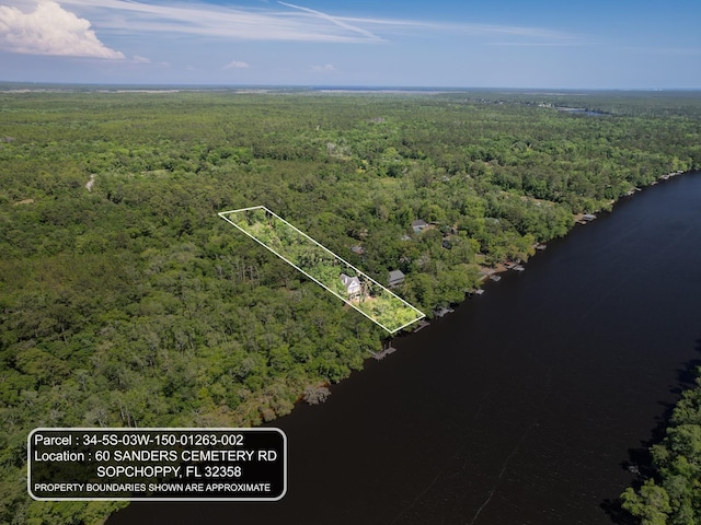 60 Sanders Cemetery Rd, Sopchoppy, FL 32358 - photo 1