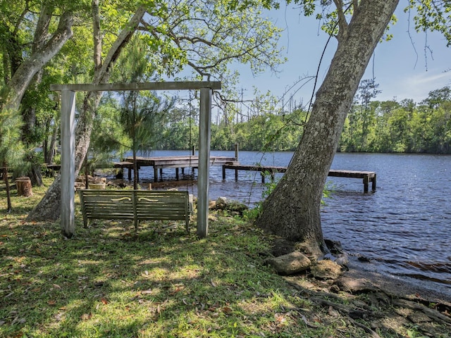 60 Sanders Cemetery Rd, Sopchoppy, FL 32358 - photo 35