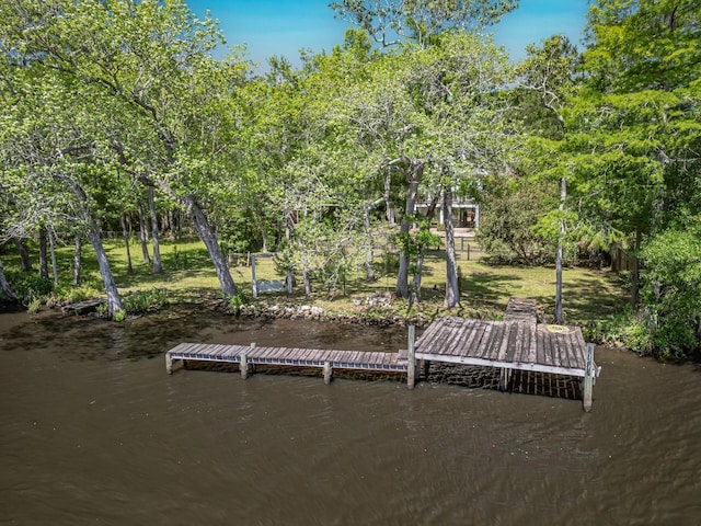 60 Sanders Cemetery Rd, Sopchoppy, FL 32358 - photo 36