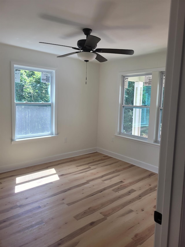 1007 Preston Ct, Tallahassee, FL 32304 - photo 16