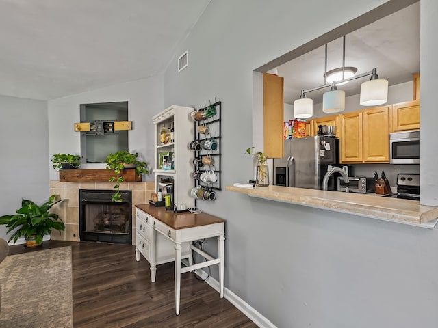 31 Sioux Trl, Crawfordville, FL 32327 - kitchen featuring appliances with stainless steel finishes, light brown cabinetry, dark wood-type flooring, a tile fireplace, and light countertops