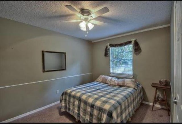 bedroom featuring ceiling fan, carpet flooring, and a textured ceiling