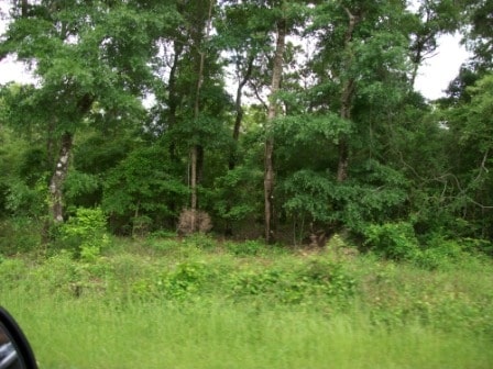 LOT7 Renegade Rd Unit 0, Crawfordville FL, 32327 land for sale