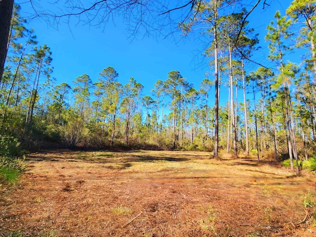 LOT116 SW Pier Rd, Greenville FL, 32331 land for sale