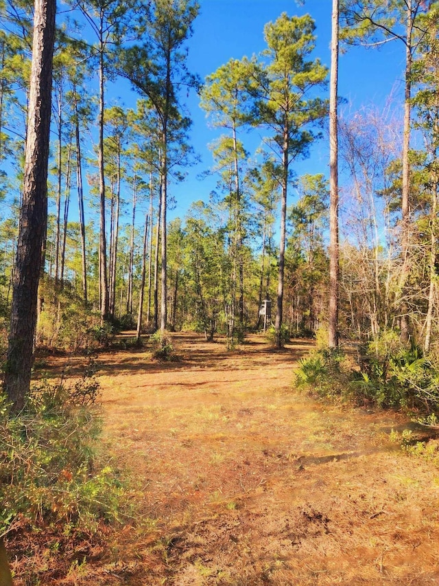 Listing photo 3 for LOT116 SW Pier Rd, Greenville FL 32331