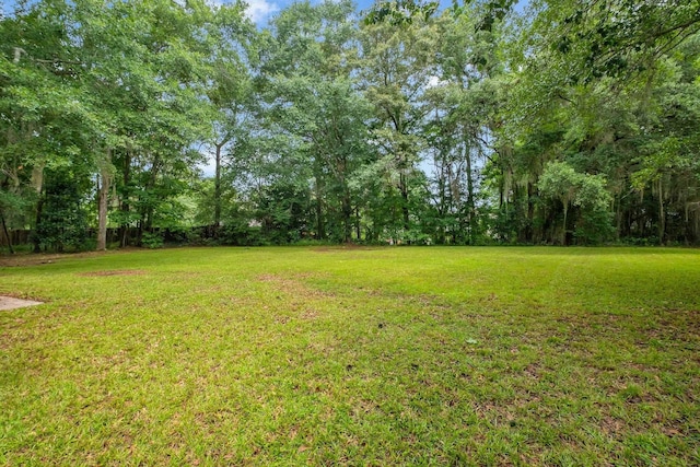 332 Winnstead Ct, Tallahassee, FL 32312 - view of green lawn