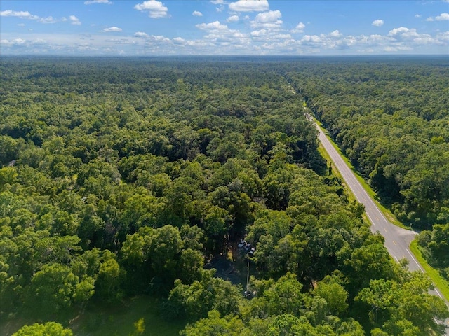 553 Rock Rd, Crawfordville, FL 32327 - photo 33
