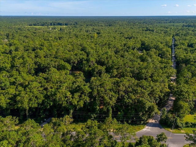 553 Rock Rd, Crawfordville, FL 32327 - photo 34