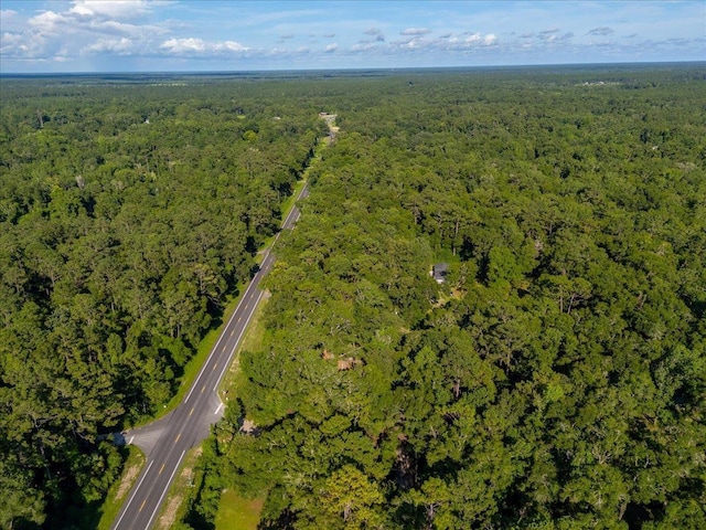 553 Rock Rd, Crawfordville, FL 32327 - photo 31